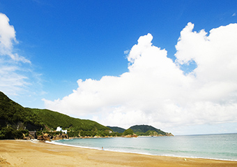 写真:美波町・大浜海岸