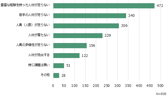 情報システム部門の人員、人材に関する課題結果